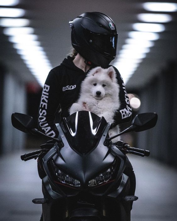 Rider Gallery